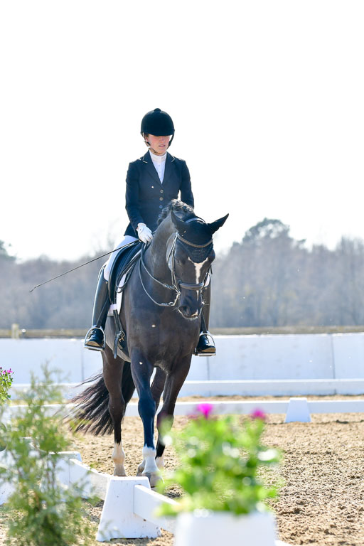 Reitsportzentrum Bremervörde | 170421 Dressur M+ _208 