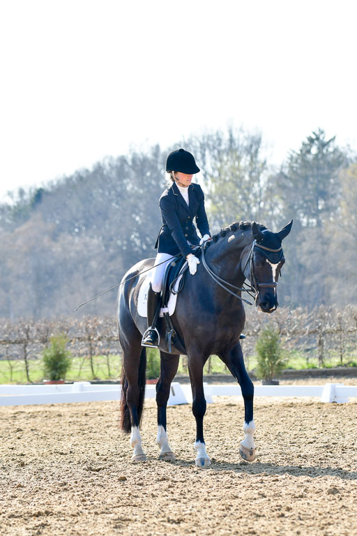 Reitsportzentrum Bremervörde | 170421 Dressur M+ _209 