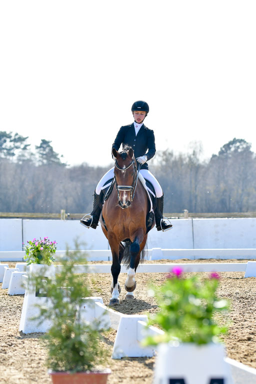 Reitsportzentrum Bremervörde | 170421 Dressur M+ _210 