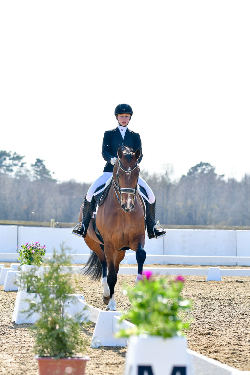 Reitsportzentrum Bremervörde | 170421 Dressur M+ _211 
