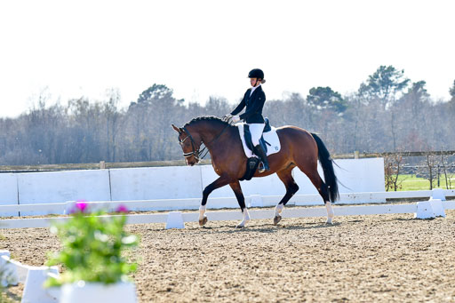 Reitsportzentrum Bremervörde | 170421 Dressur M+ _212 