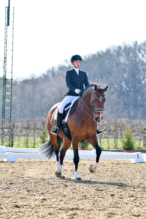 Reitsportzentrum Bremervörde | 170421 Dressur M+ _214 