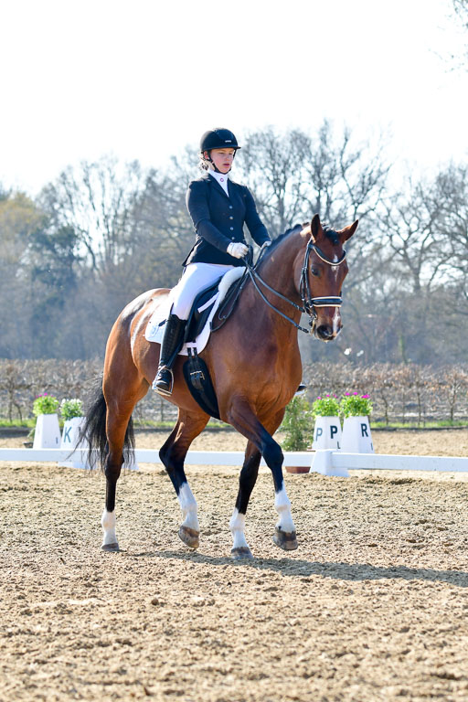 Reitsportzentrum Bremervörde | 170421 Dressur M+ _216 