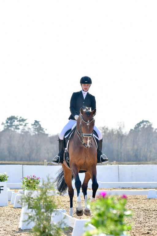Reitsportzentrum Bremervörde | 170421 Dressur M+ _219 