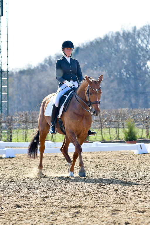 Reitsportzentrum Bremervörde | 170421 Dressur M+ _224 