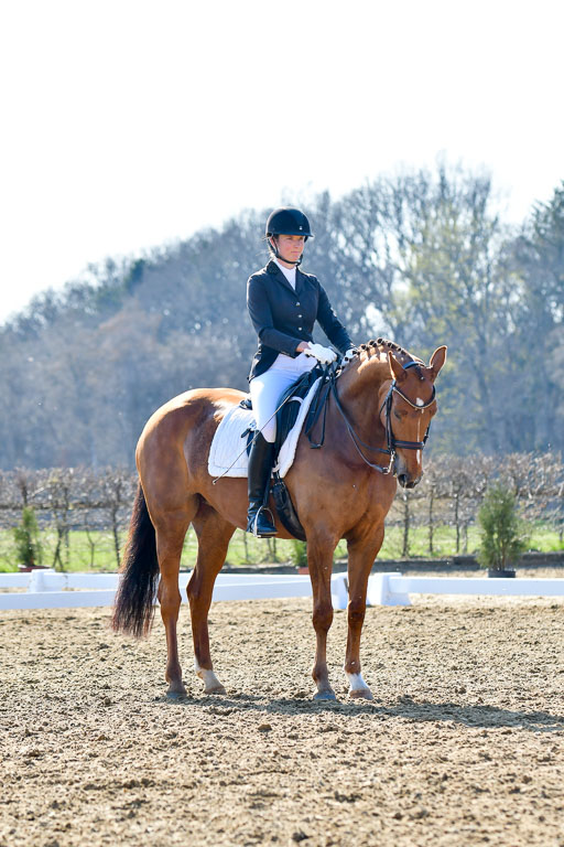Reitsportzentrum Bremervörde | 170421 Dressur M+ _225 