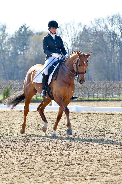 Reitsportzentrum Bremervörde | 170421 Dressur M+ _226 