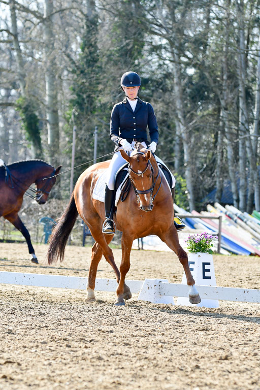 Reitsportzentrum Bremervörde | 170421 Dressur M+ _227 