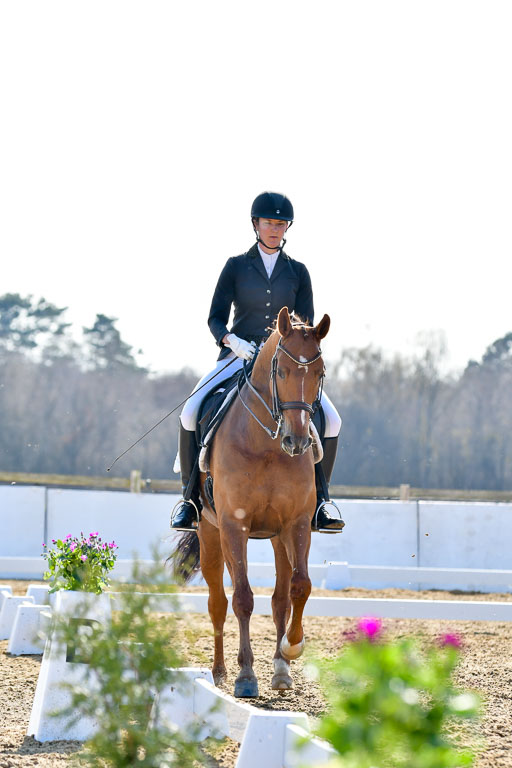 Reitsportzentrum Bremervörde | 170421 Dressur M+ _228 