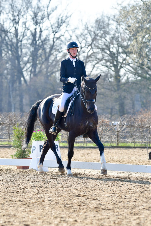 Reitsportzentrum Bremervörde | 170421 Dressur M+ _232 