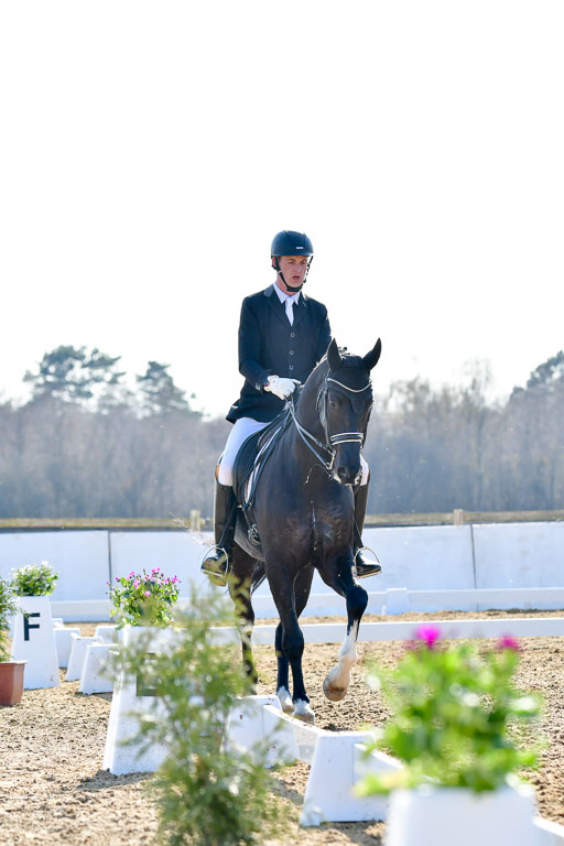 Reitsportzentrum Bremervörde | 170421 Dressur M+ _234 