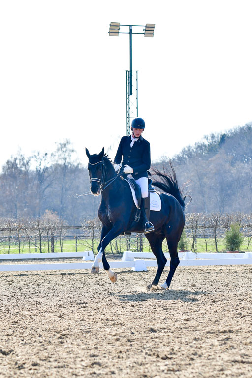 Reitsportzentrum Bremervörde | 170421 Dressur M+ _236 