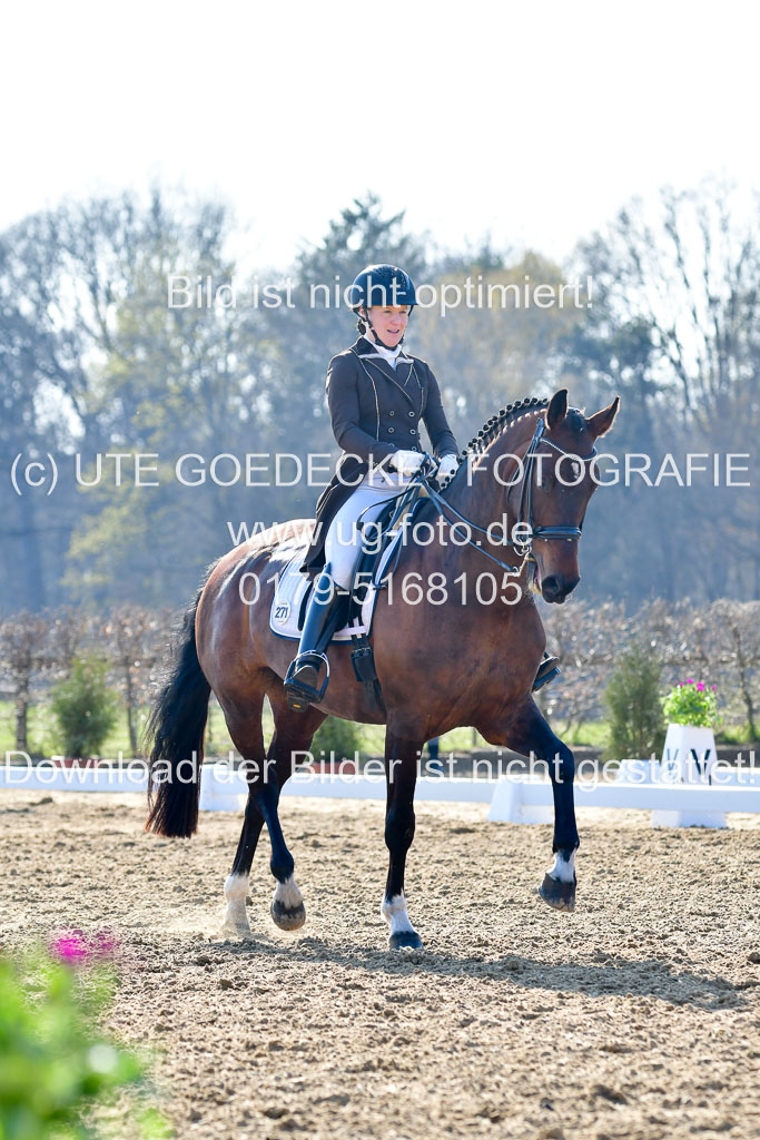 Reitsportzentrum Bremervörde | 170421 Dressur S+_001 