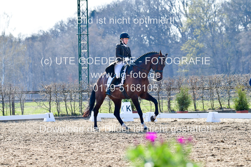 Reitsportzentrum Bremervörde | 170421 Dressur S+_008