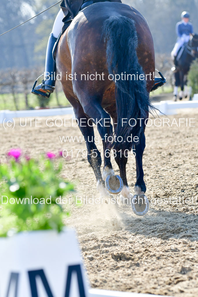 Reitsportzentrum Bremervörde | 170421 Dressur S+_009