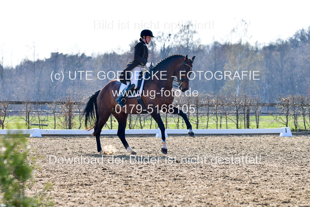 Reitsportzentrum Bremervörde | 170421 Dressur S+_010 