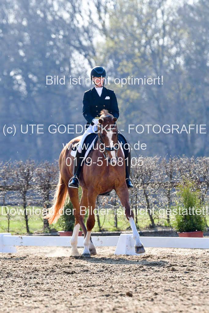 Reitsportzentrum Bremervörde | 170421 Dressur S+_019