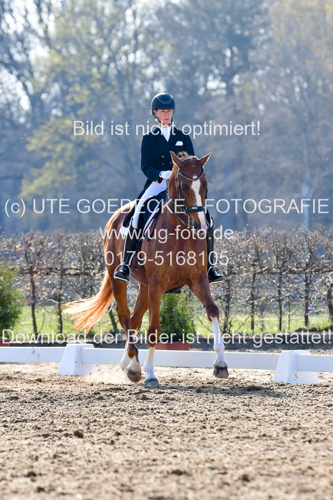 Reitsportzentrum Bremervörde | 170421 Dressur S+_020