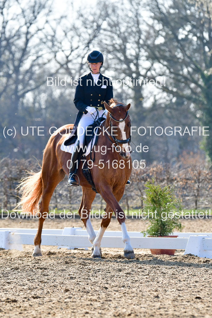 Reitsportzentrum Bremervörde | 170421 Dressur S+_021