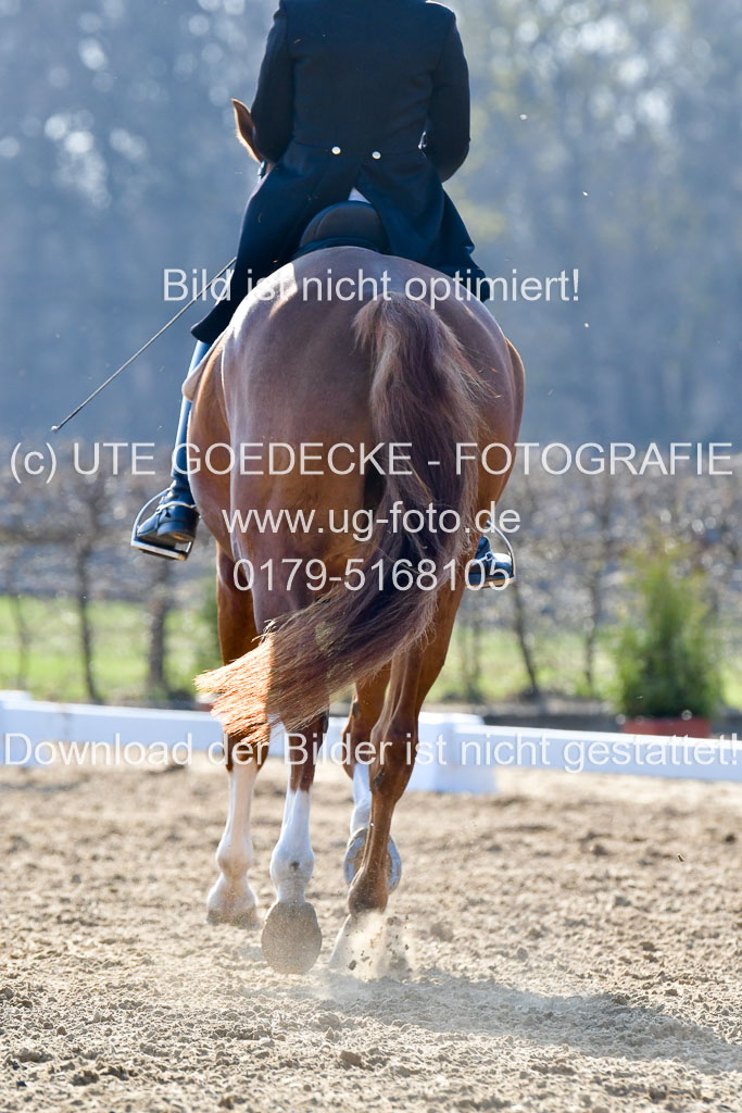 Reitsportzentrum Bremervörde | 170421 Dressur S+_022 