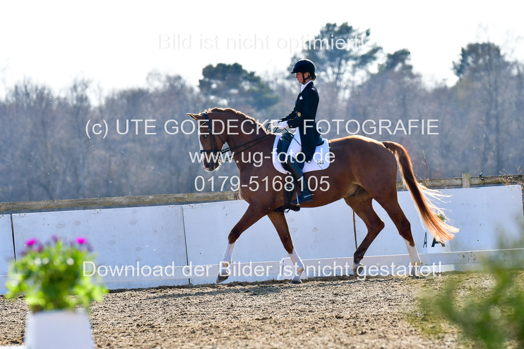 Reitsportzentrum Bremervörde | 170421 Dressur S+_023