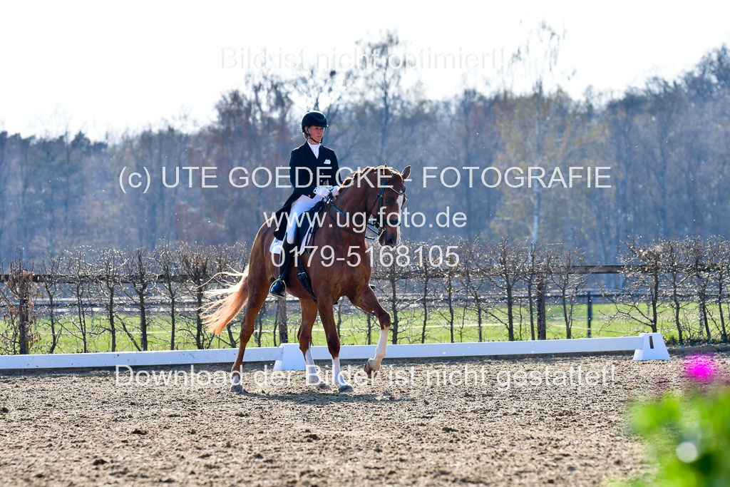 Reitsportzentrum Bremervörde | 170421 Dressur S+_026