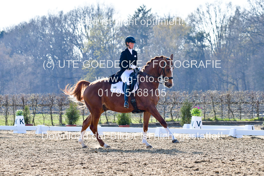 Reitsportzentrum Bremervörde | 170421 Dressur S+_032 