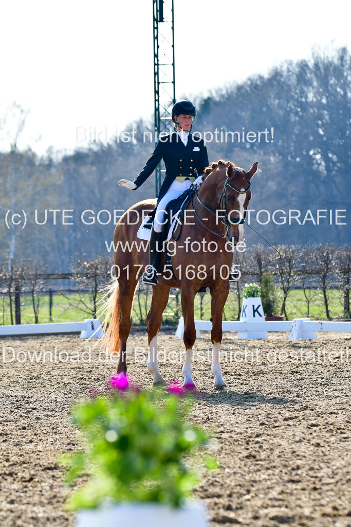 Reitsportzentrum Bremervörde | 170421 Dressur S+_033