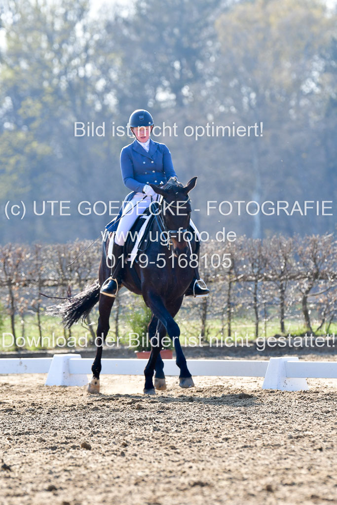 Reitsportzentrum Bremervörde | 170421 Dressur S+_037