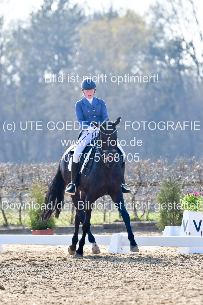 Reitsportzentrum Bremervörde | 170421 Dressur S+_038