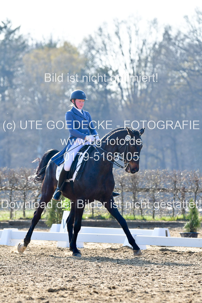 Reitsportzentrum Bremervörde | 170421 Dressur S+_043 