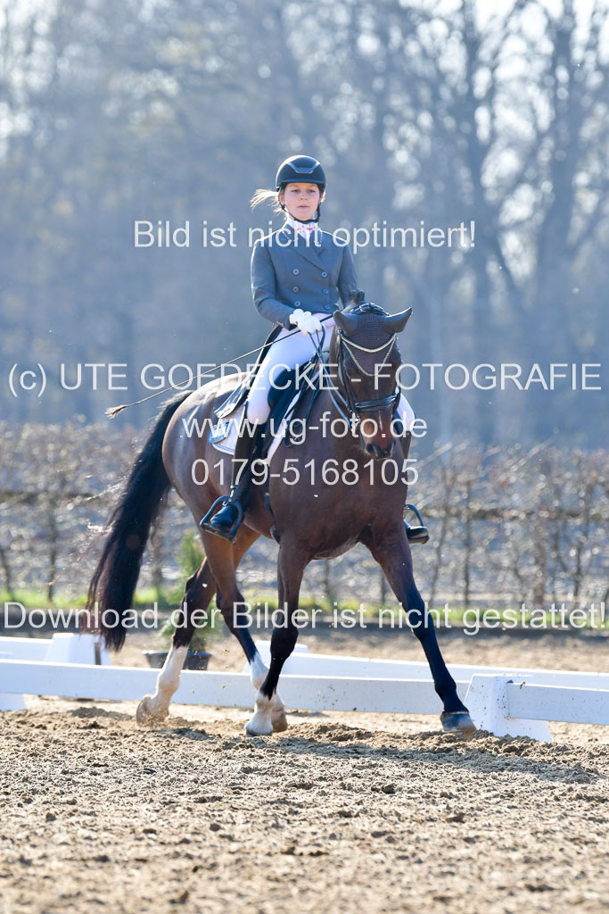 Reitsportzentrum Bremervörde | 170421 Dressur S+_053