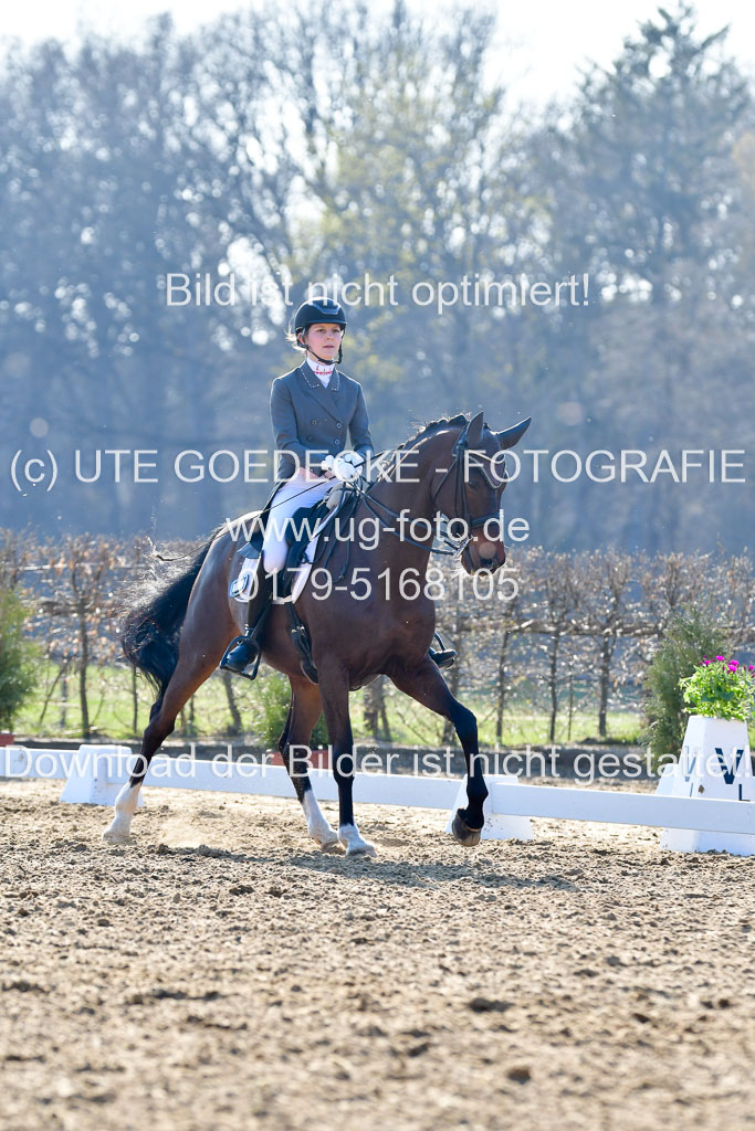 Reitsportzentrum Bremervörde | 170421 Dressur S+_055