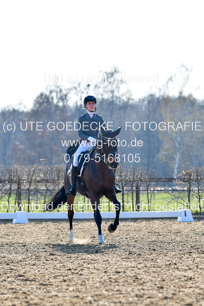 Reitsportzentrum Bremervörde | 170421 Dressur S+_061