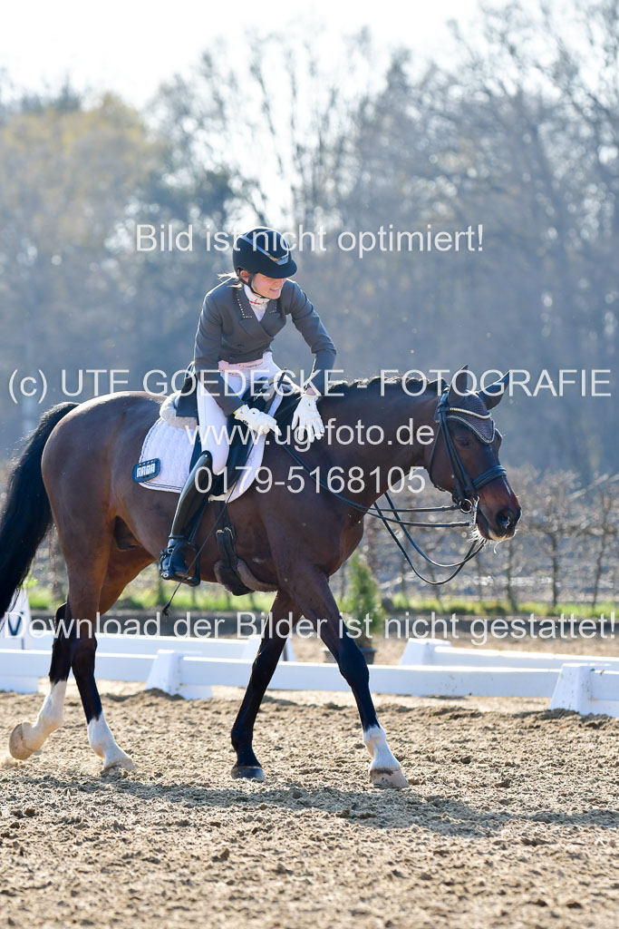 Reitsportzentrum Bremervörde | 170421 Dressur S+_062