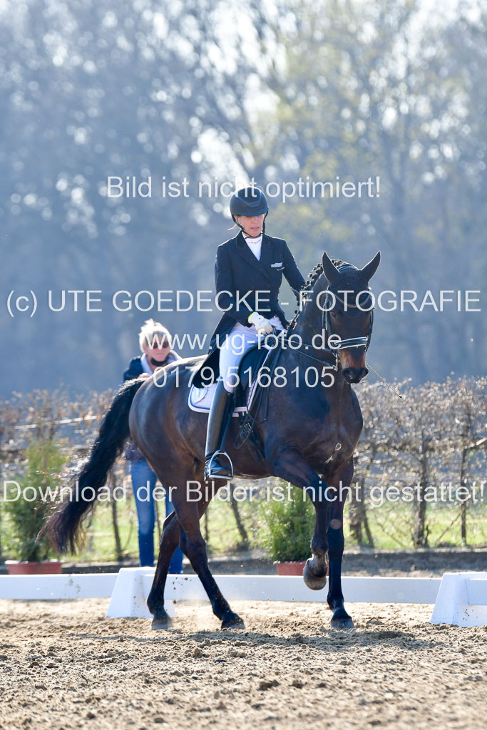 Reitsportzentrum Bremervörde | 170421 Dressur S+_065 