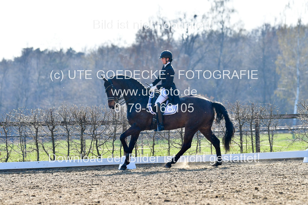 Reitsportzentrum Bremervörde | 170421 Dressur S+_079
