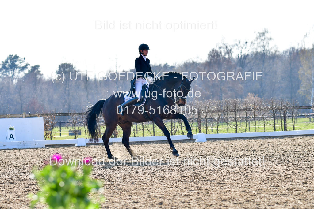 Reitsportzentrum Bremervörde | 170421 Dressur S+_087 