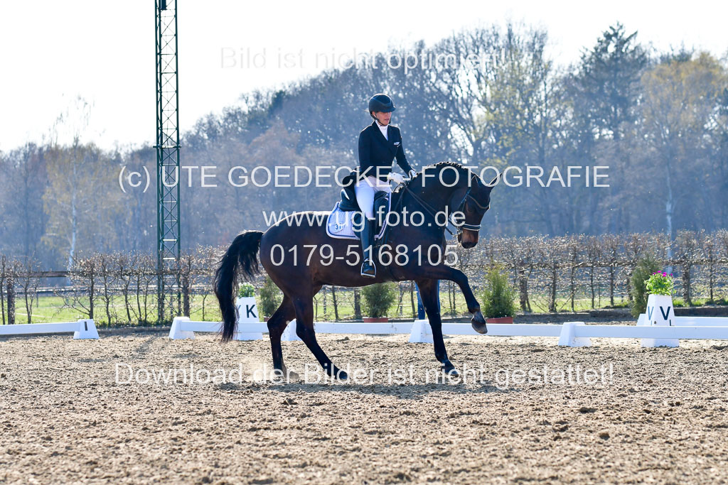 Reitsportzentrum Bremervörde | 170421 Dressur S+_088