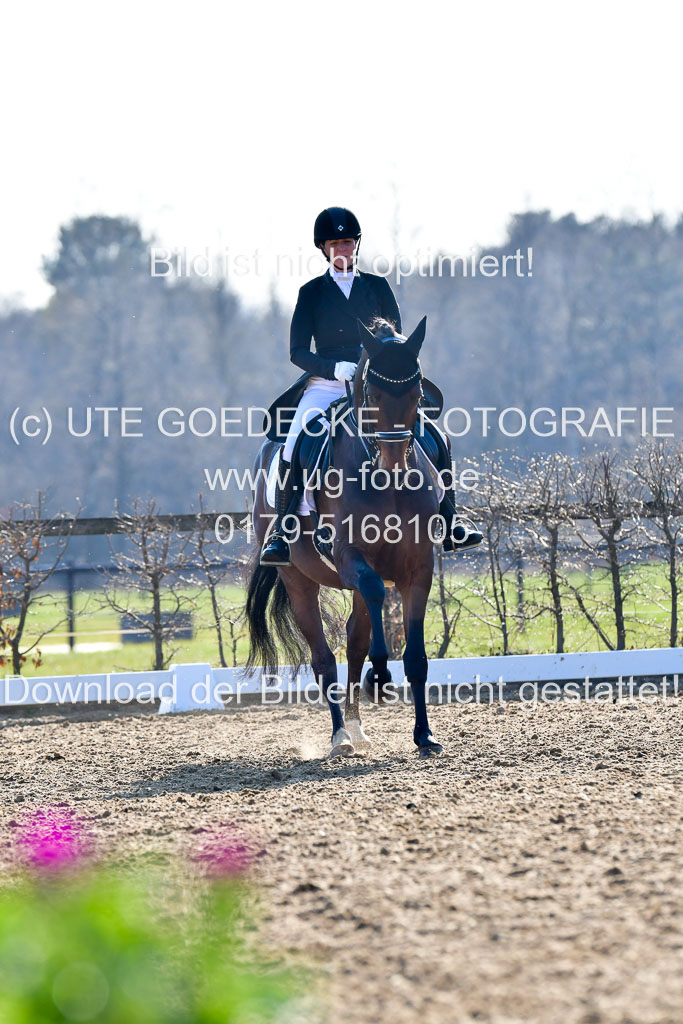 Reitsportzentrum Bremervörde | 170421 Dressur S+_095