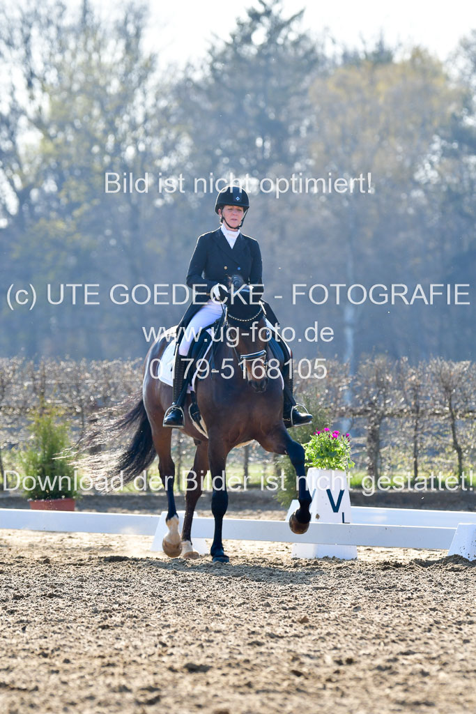 Reitsportzentrum Bremervörde | 170421 Dressur S+_098