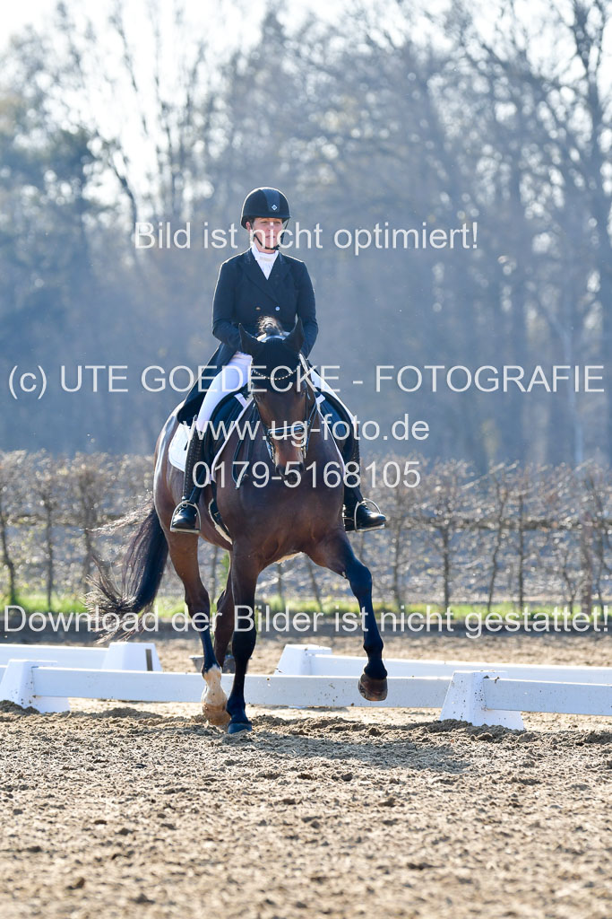 Reitsportzentrum Bremervörde | 170421 Dressur S+_099 