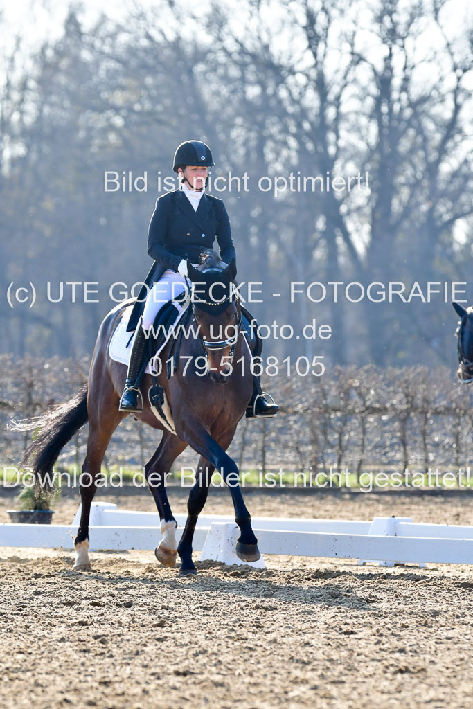 Reitsportzentrum Bremervörde | 170421 Dressur S+_100