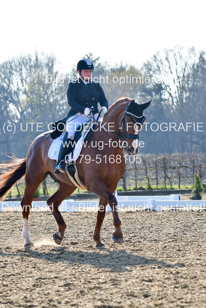 Reitsportzentrum Bremervörde | 170421 Dressur S+_117