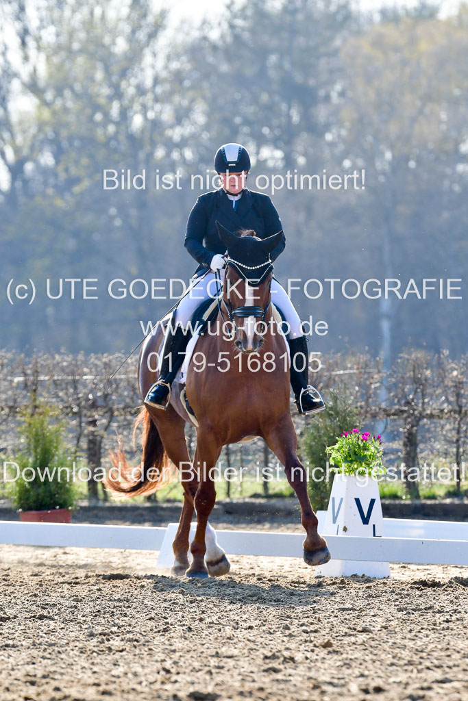 Reitsportzentrum Bremervörde | 170421 Dressur S+_118