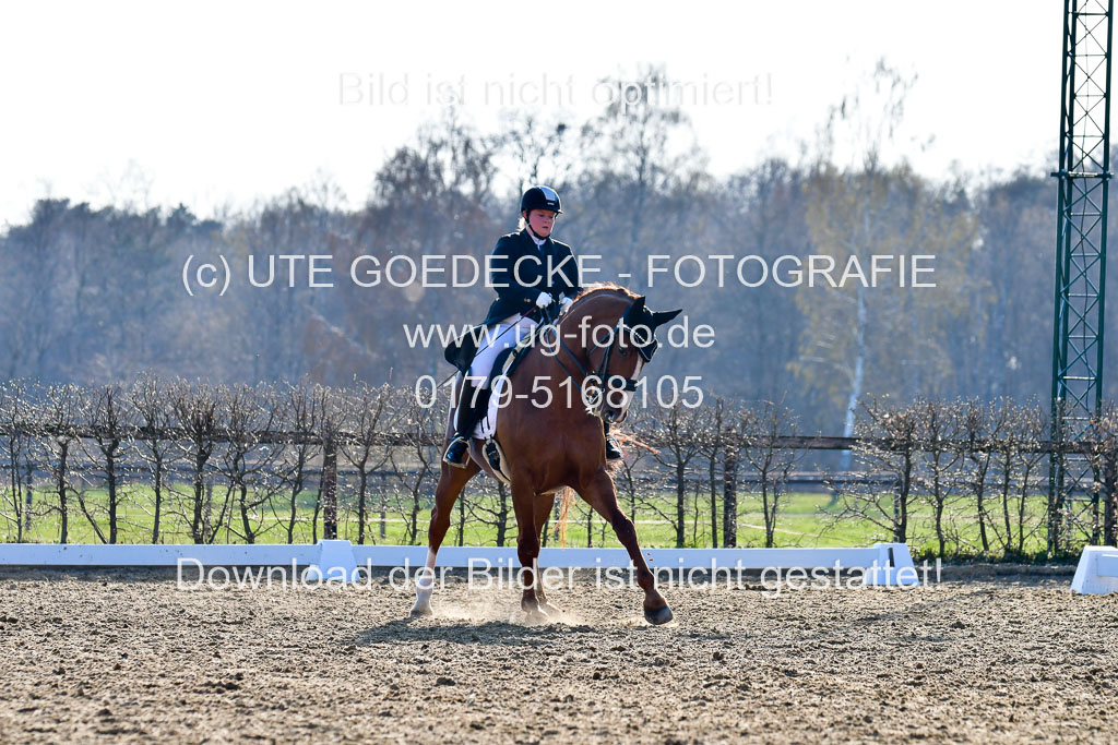 Reitsportzentrum Bremervörde | 170421 Dressur S+_121