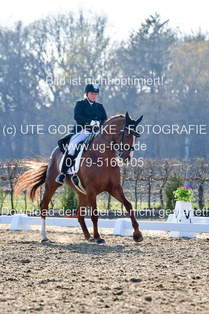 Reitsportzentrum Bremervörde | 170421 Dressur S+_122