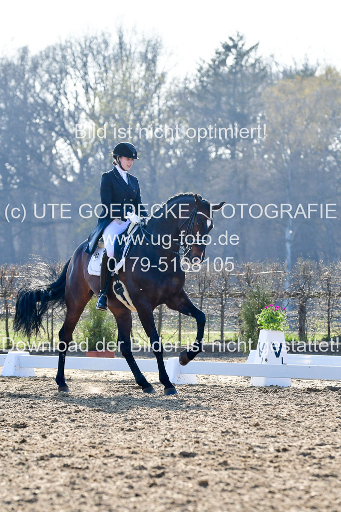 Reitsportzentrum Bremervörde | 170421 Dressur S+_138