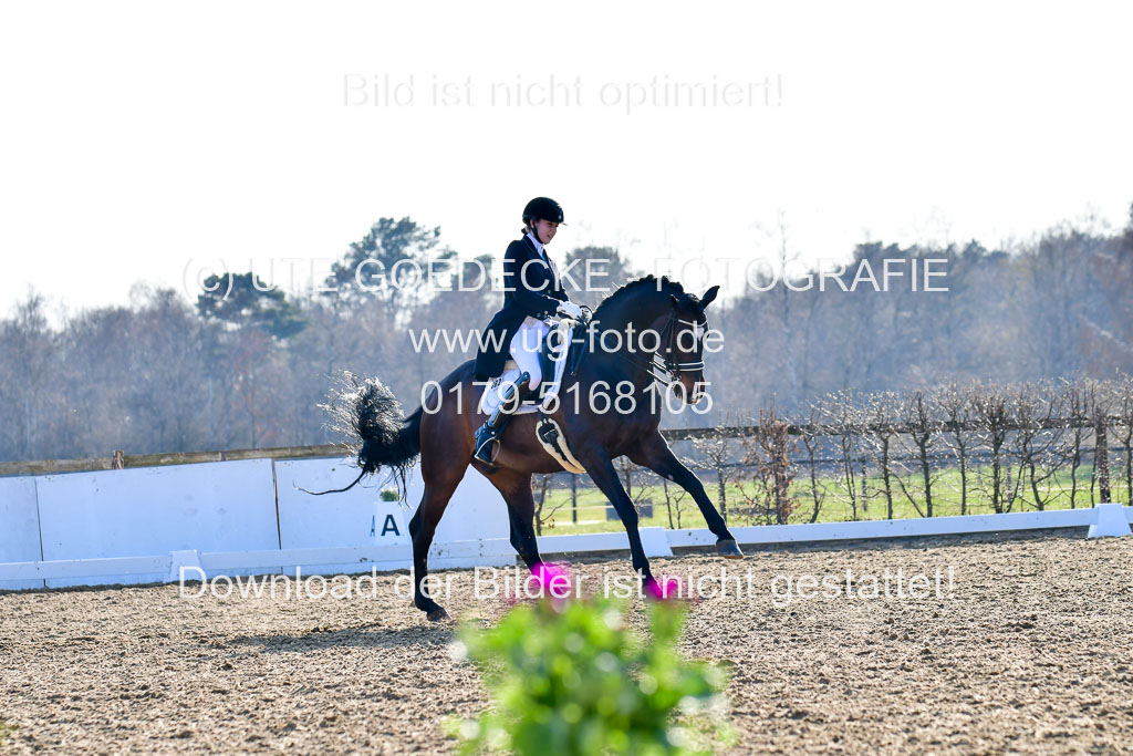Reitsportzentrum Bremervörde | 170421 Dressur S+_141