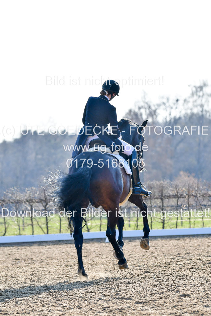Reitsportzentrum Bremervörde | 170421 Dressur S+_143
